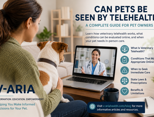 Can Pets Be Seen by Telehealth?